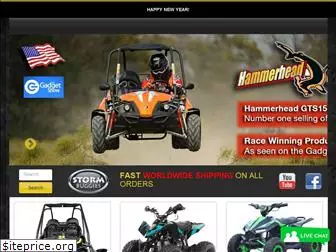 stormbuggies.com