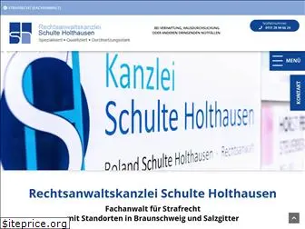 strafverteidiger-salzgitter.de