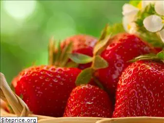 strawberrysprings.com.au