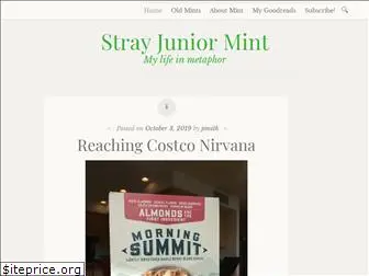 strayjuniormint.com