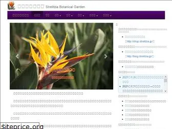strelitzia.jp