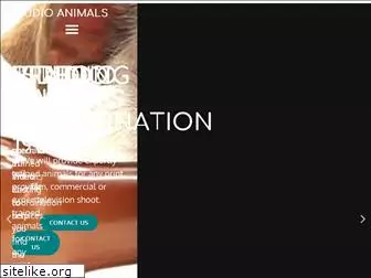 studioanimals.com