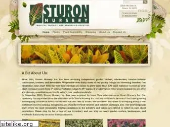 sturon.com