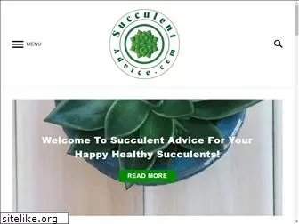succulentadvice.com