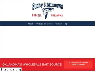 suchysminnows.com