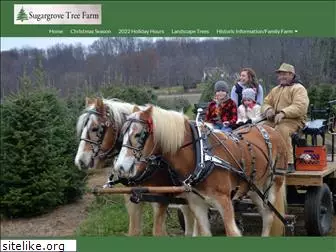 sugargrovefarm.com