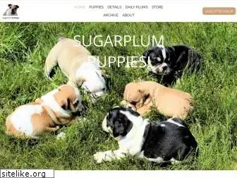sugarplumbulldogs.com