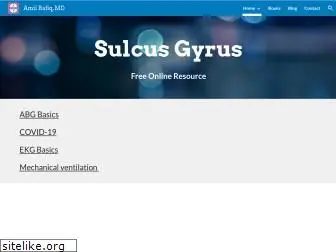 sulcusgyrus.com