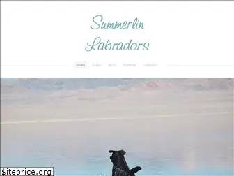 summerlinlabs.com