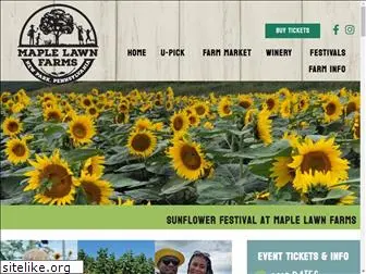 sunflowerfestivalpa.com