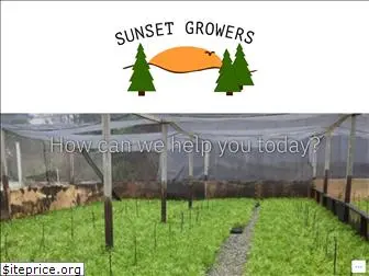 sunsetgrowers.com