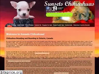 sunsetschihuahuas.ca