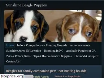 sunshinebeaglepups.com