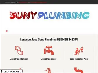 suny-plumbing.com