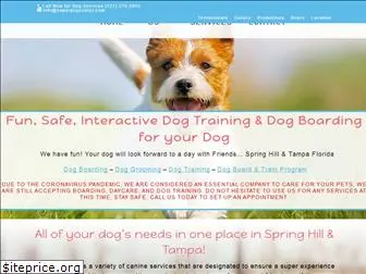 superdogcenter.com