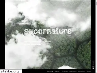 supernaturelabs.com