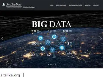 surfbigdata.com