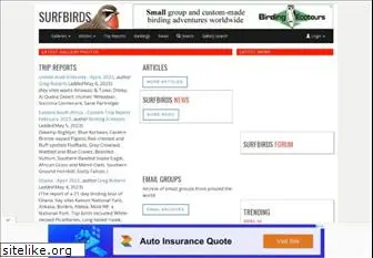 surfbirds.com