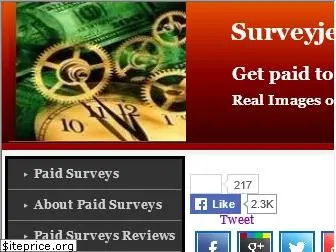 surveyjet.net