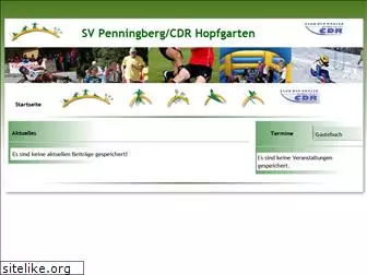 sv-penningberg.com