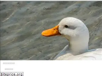 swan-duck4.com