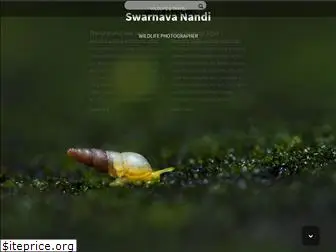 swarnavanandi.com