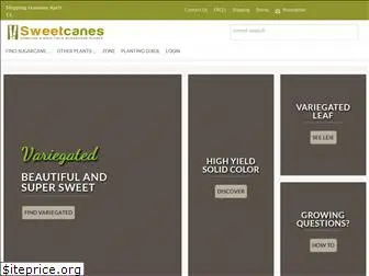 sweetcanes.com