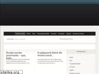swinkimorskie.com.pl
