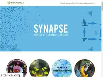 synapse.bio