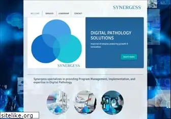 synergess.com