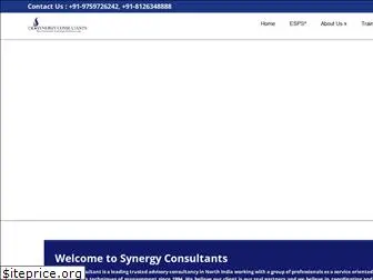 synergyconsultant.in
