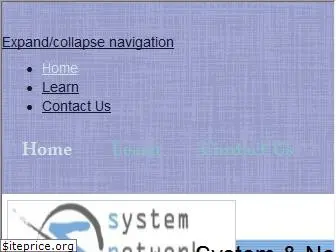 system-network-solutions.com