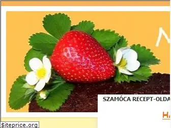 szamoca.eoldal.hu