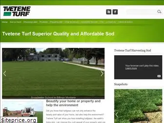 t-turf.com