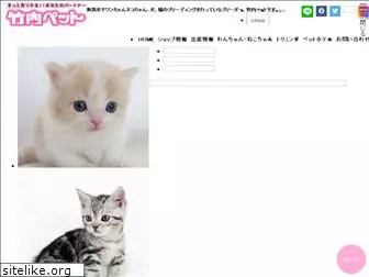 takeuchipet.com