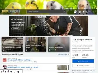 talkbudgies.com