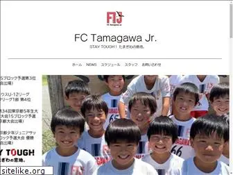 tamagawajr.org