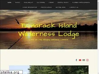 tamarackislandwildernesslodge.com