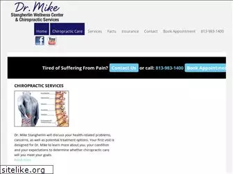 tampa-chiropractic-center.com