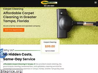 tampaaffordablecarpetcleaning.com