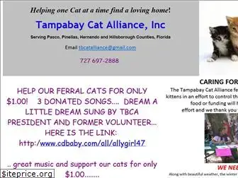 tampabaycatalliance.org