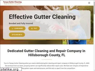 tampaguttercleaning.com