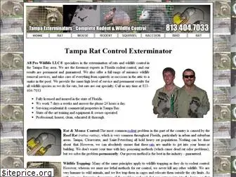 tamparatexterminator.com