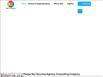 tampaseoservices.net