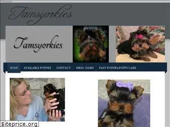 tamsyorkies.com