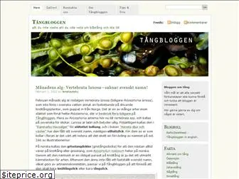 tangbloggen.com