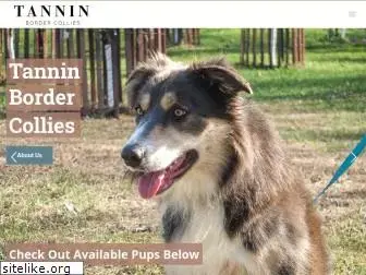 tanninbordercollies.com