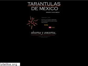 tarantulasdemexico.com