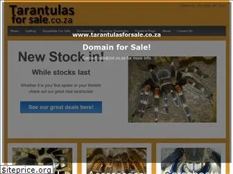 tarantulasforsale.co.za