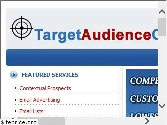 targetaudienceonline.com